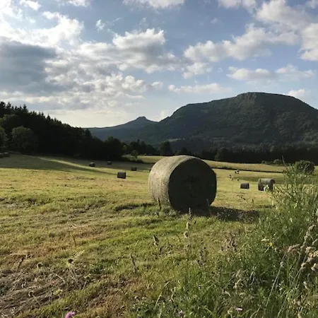 T2 Bis Au Mont-dore Avec Animaux Acceptes - Fr-1-608-182